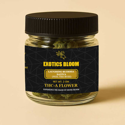 THC-A Flower Laughing Buddha
